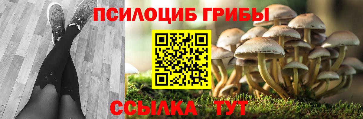 магазин    Галлюциногенные грибы Magic Shrooms  Вход с VPN  Гудермес  Галлюциногенные грибы Magic Shrooms 