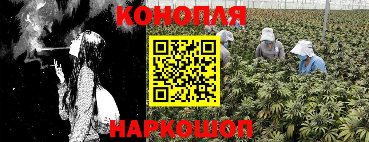 Шишки марихуана гибрид Гудермес